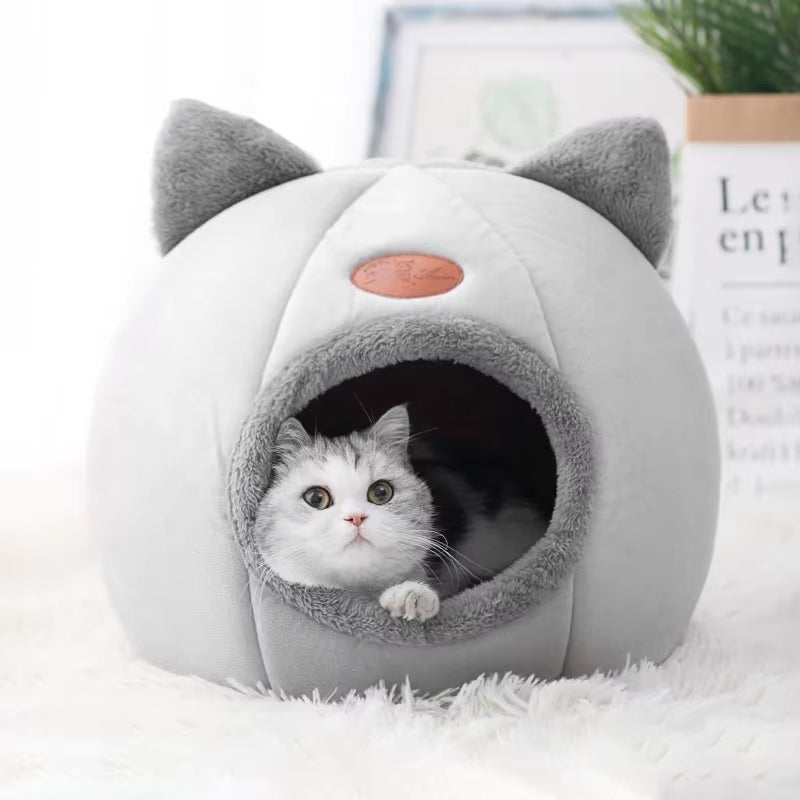 CloudCave™: Confort de Invierno