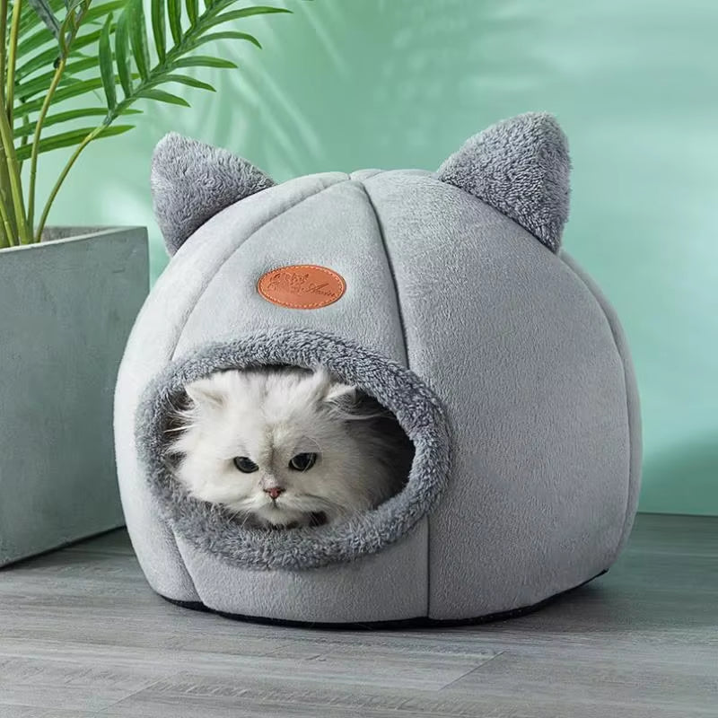 CloudCave™: Confort de Invierno
